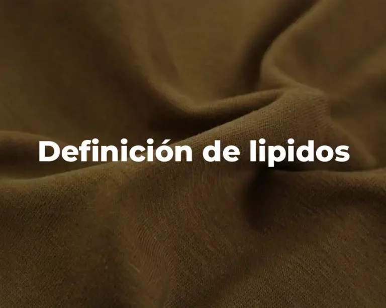 Definición de lipidos