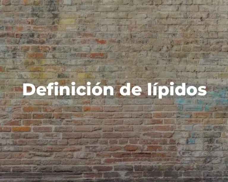 Definición de lípidos