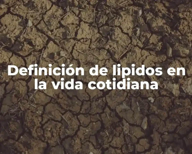 Definición de lipidos en la vida cotidiana
