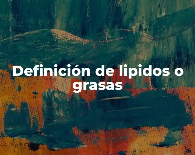 Definición de lipidos o grasas