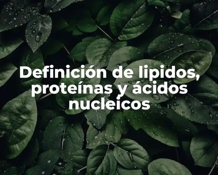 Definición de lipidos, proteínas y ácidos nucleicos