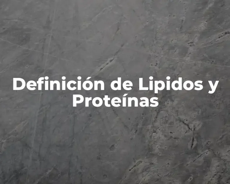 Definición de Lipidos y Proteínas