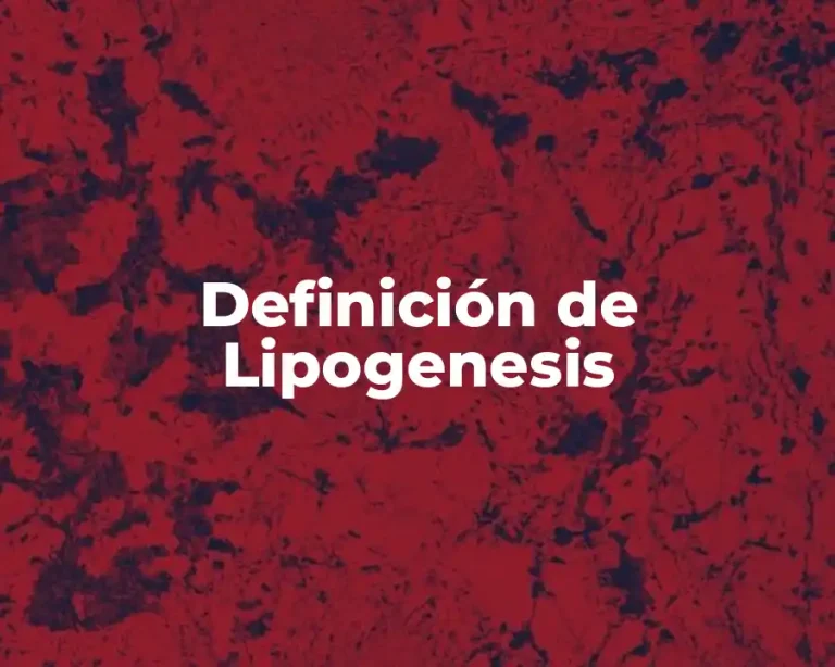 Definición de Lipogenesis