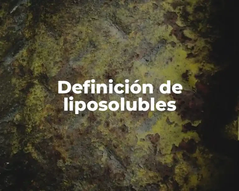 Definición de liposolubles
