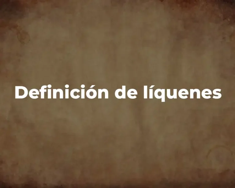 Definición de líquenes