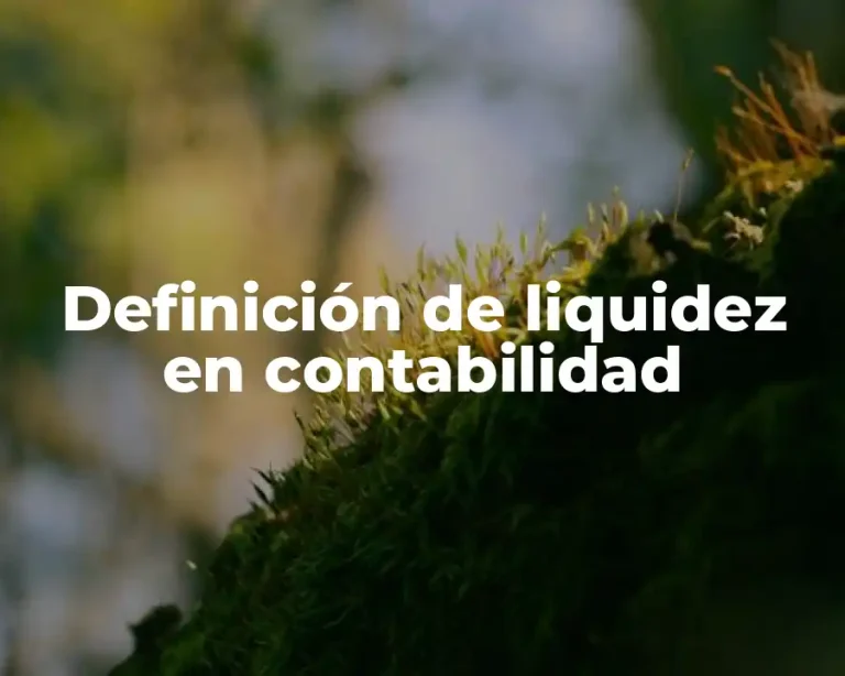 Definición de liquidez en contabilidad
