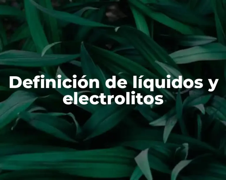 Definición de líquidos y electrolitos