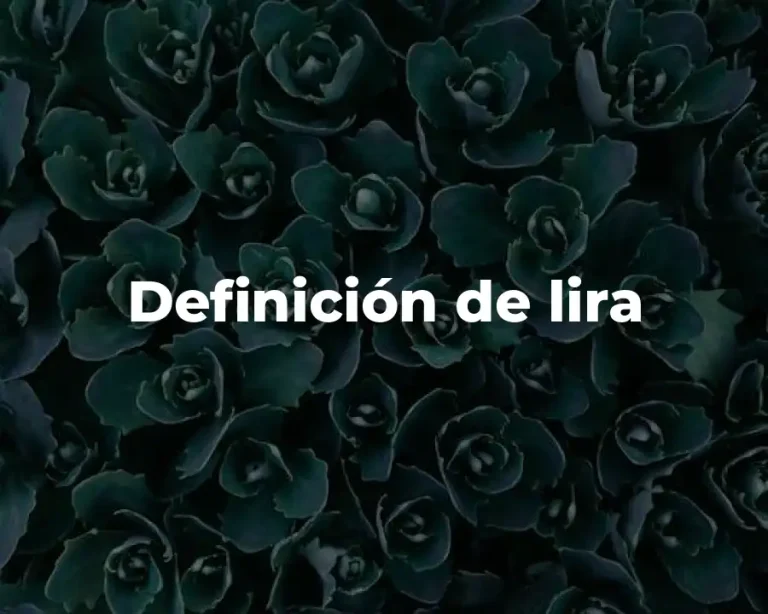Definición de lira