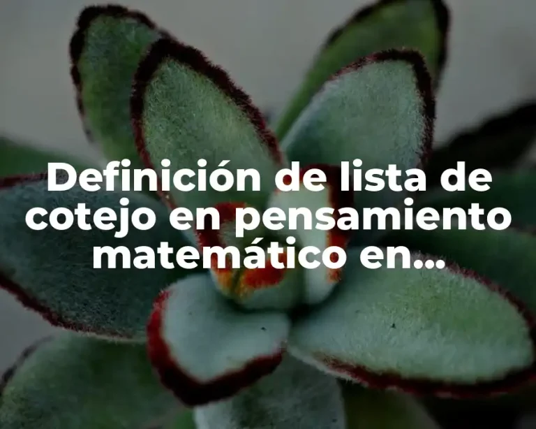 Definición de lista de cotejo en pensamiento matemático en preescolar