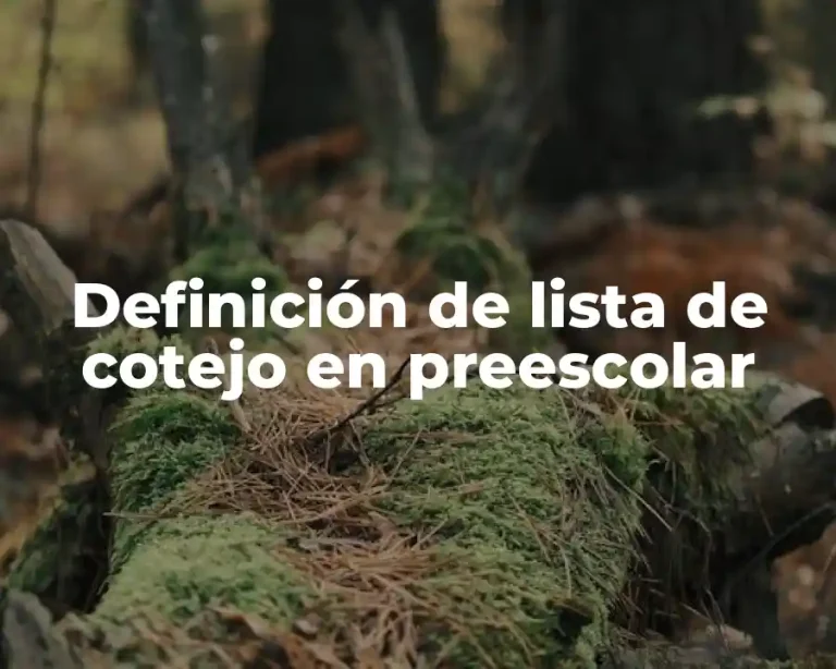 Definición de lista de cotejo en preescolar