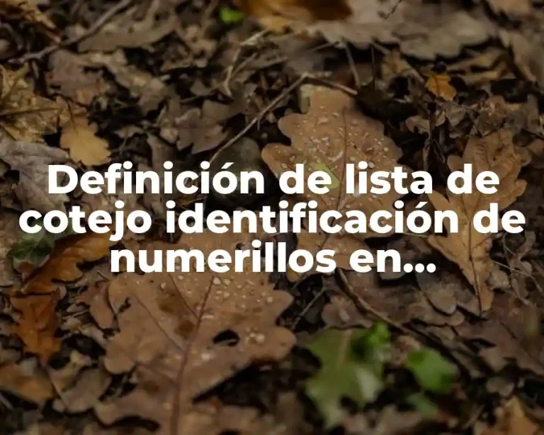 Definición de lista de cotejo identificación de numerillos en preescolar