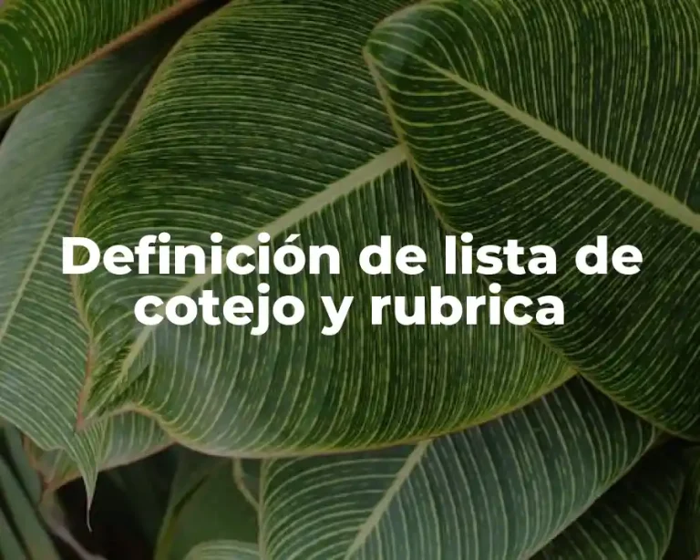Definición de lista de cotejo y rubrica
