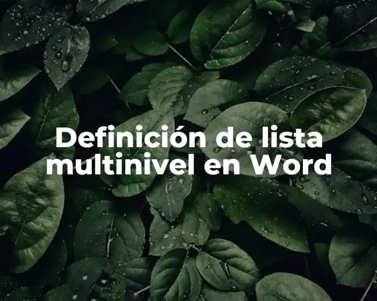 Definición de lista multinivel en Word