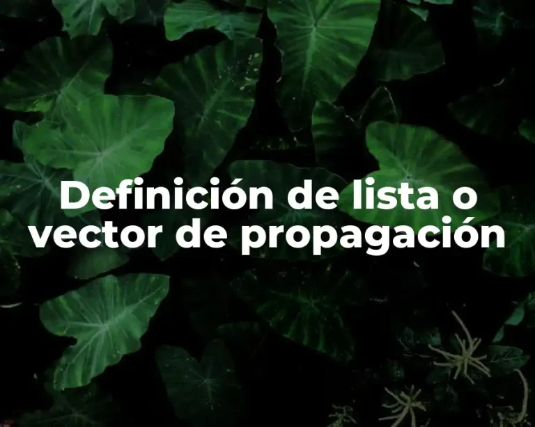 Definición de lista o vector de propagación