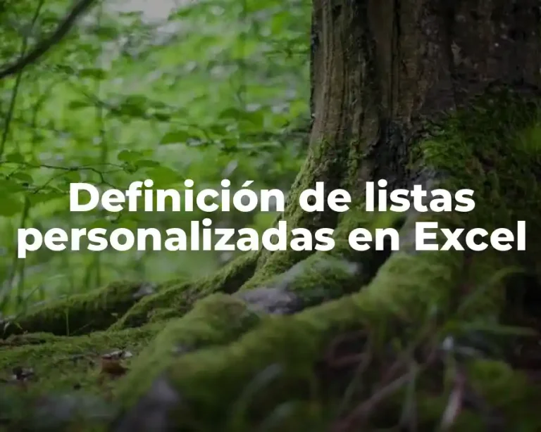 Definición de listas personalizadas en Excel