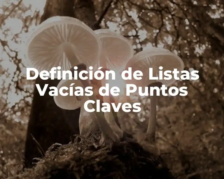 Definición de Listas Vacías de Puntos Claves