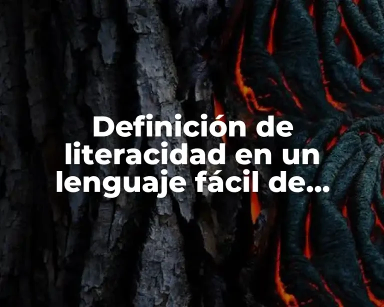 Definición de literacidad en un lenguaje fácil de entender