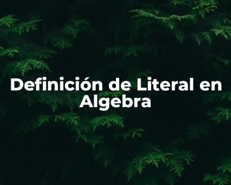 Definición de Literal en Algebra