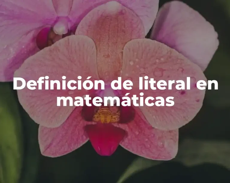 Definición de literal en matemáticas