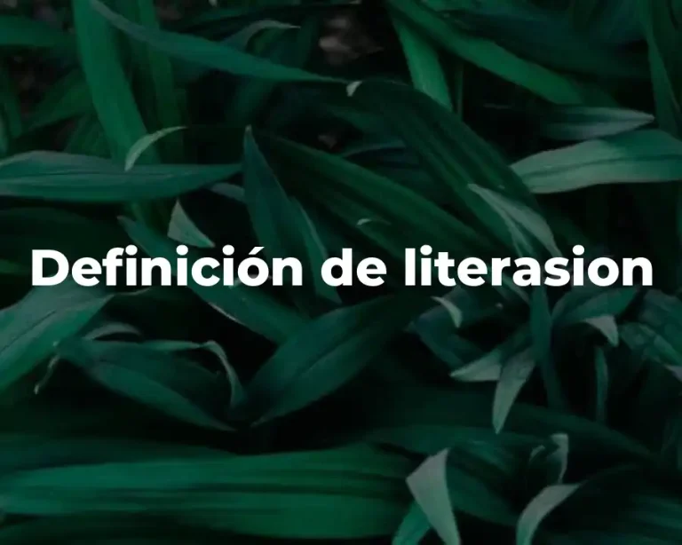 Definición de literasion