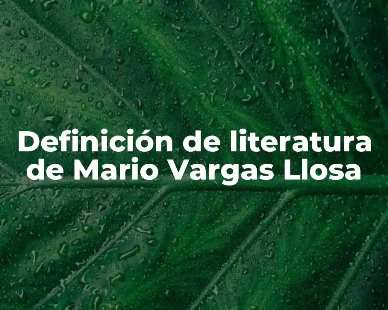 Definición de literatura de Mario Vargas Llosa