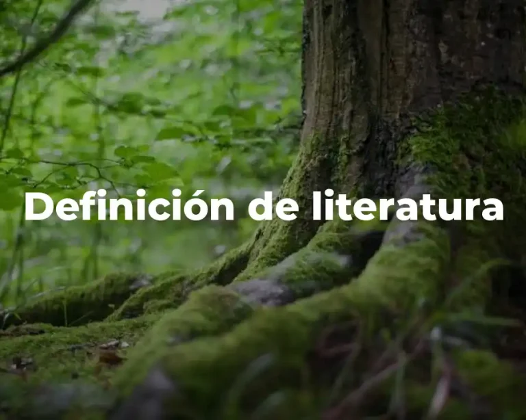Definición de literatura