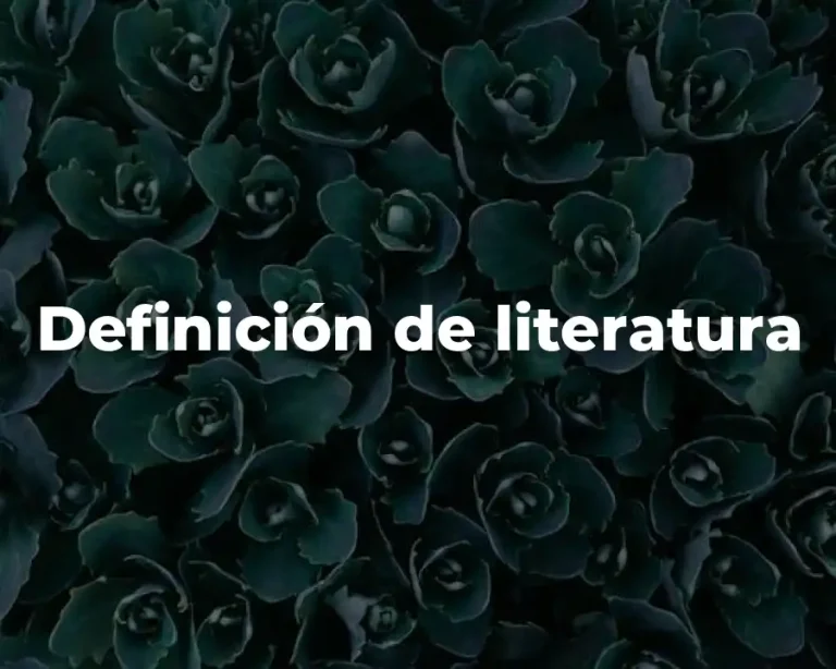 Definición de literatura