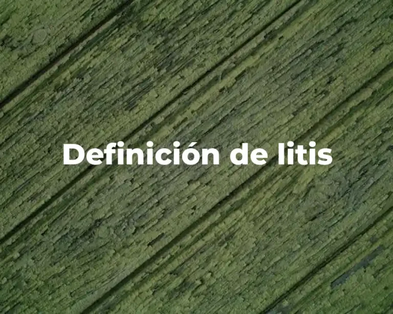 Definición de litis