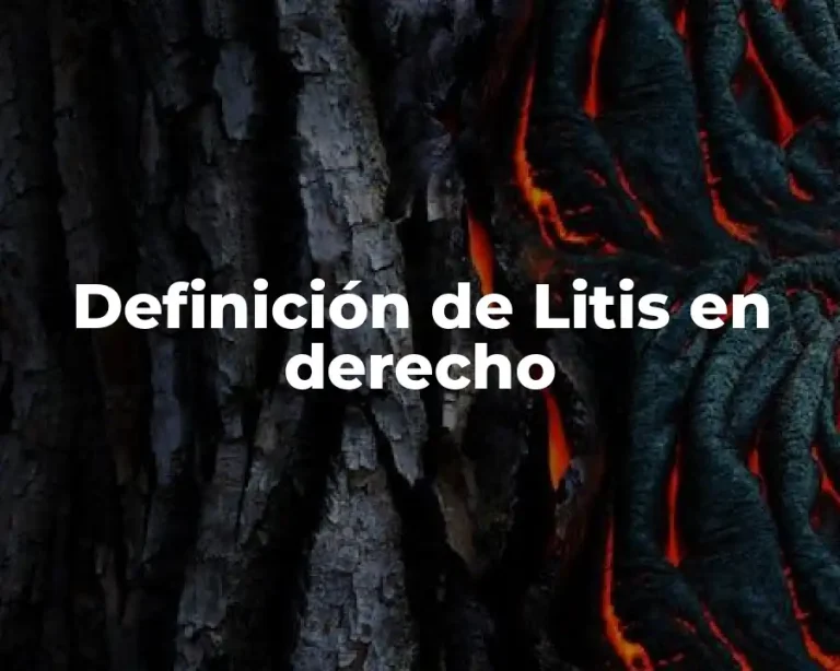 Definición de Litis en derecho