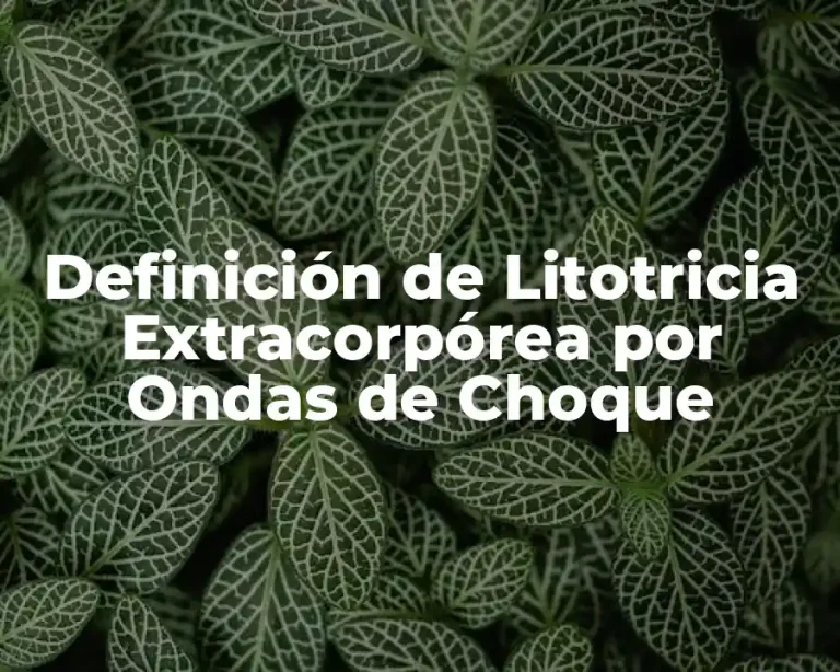 Definición de Litotricia Extracorpórea por Ondas de Choque