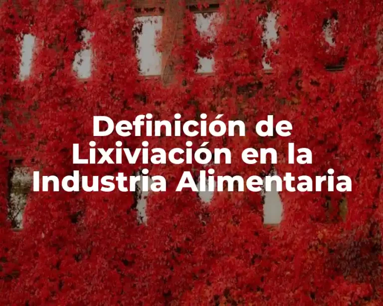 Definición de Lixiviación en la Industria Alimentaria