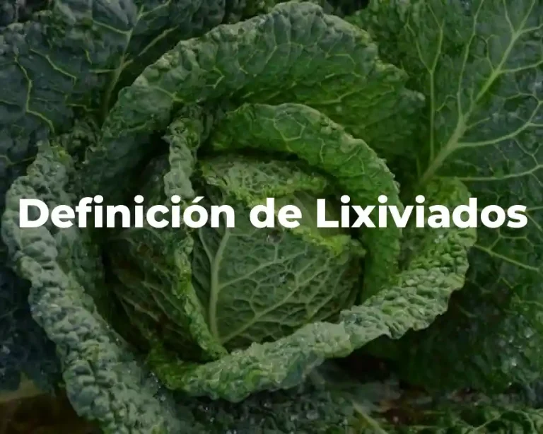 Definición de Lixiviados