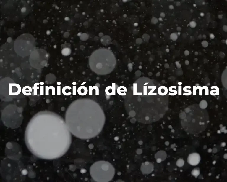 Definición de Lízosisma
