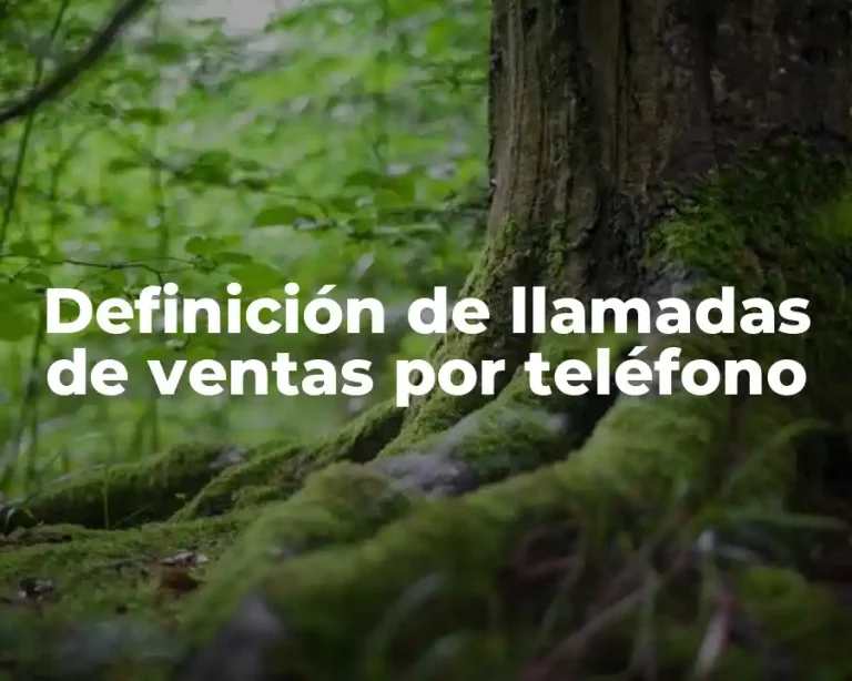 Definición de llamadas de ventas por teléfono