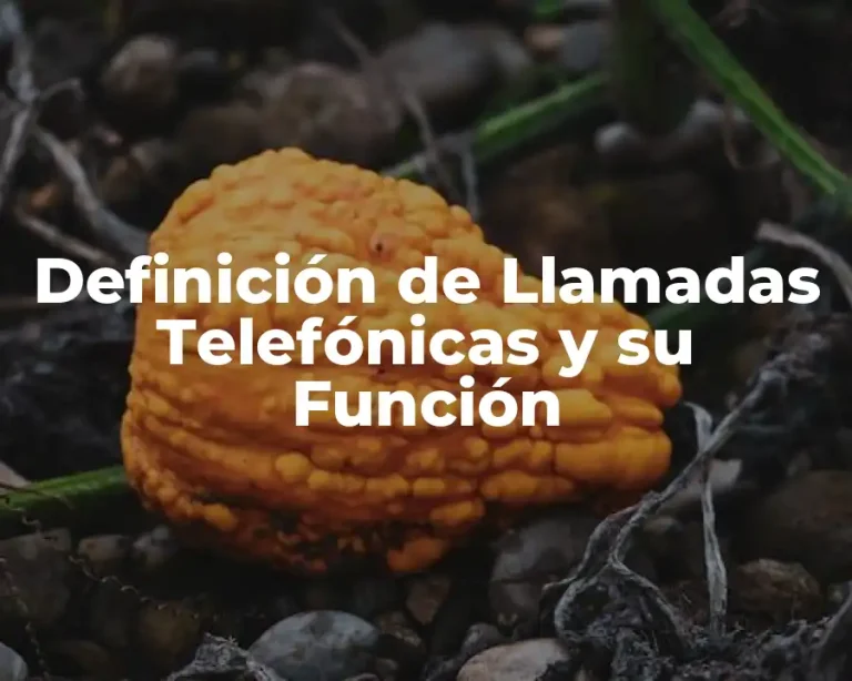 Definición de Llamadas Telefónicas y su Función