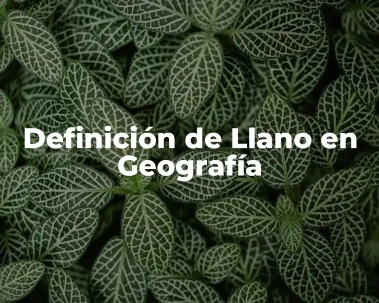 Definición de Llano en Geografía
