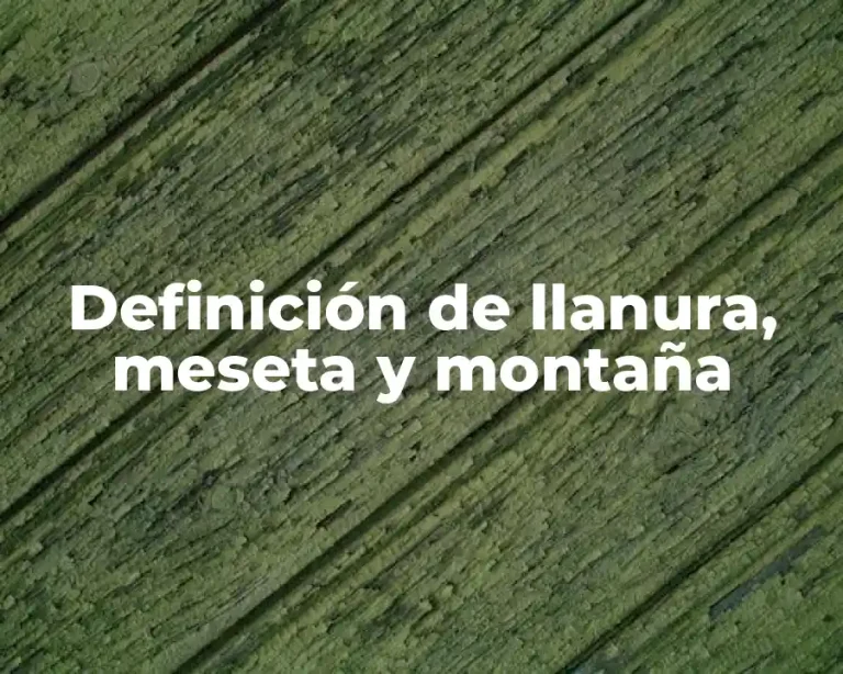 Definición de llanura, meseta y montaña