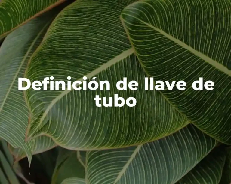 Definición de llave de tubo