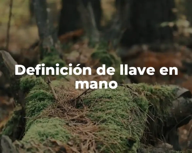 Definición de llave en mano
