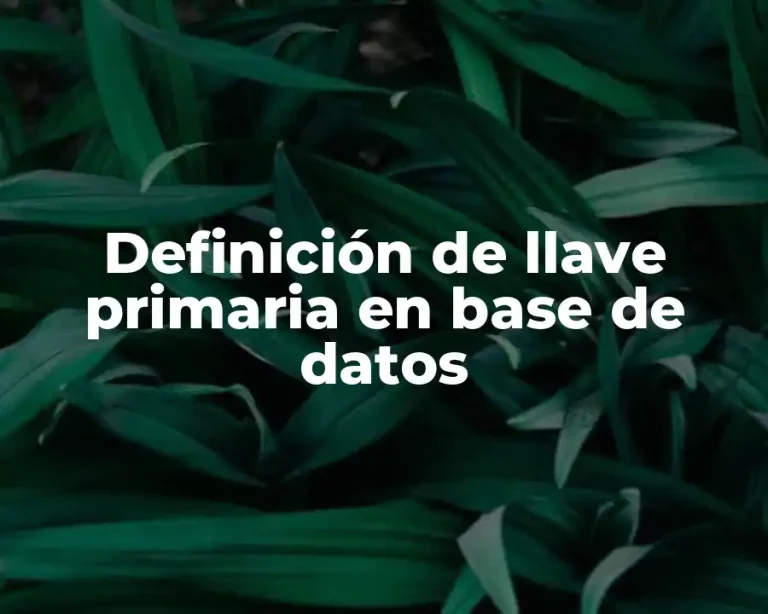Definición de llave primaria en base de datos