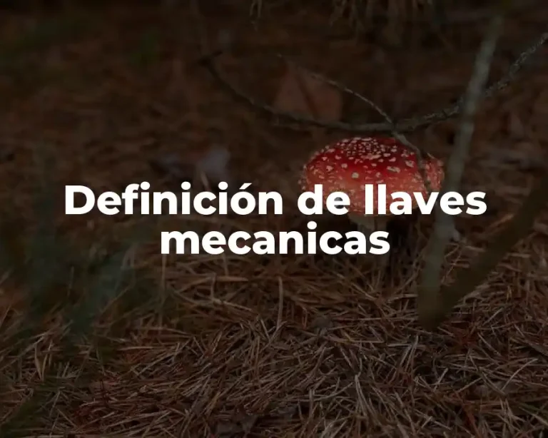 Definición de llaves mecanicas