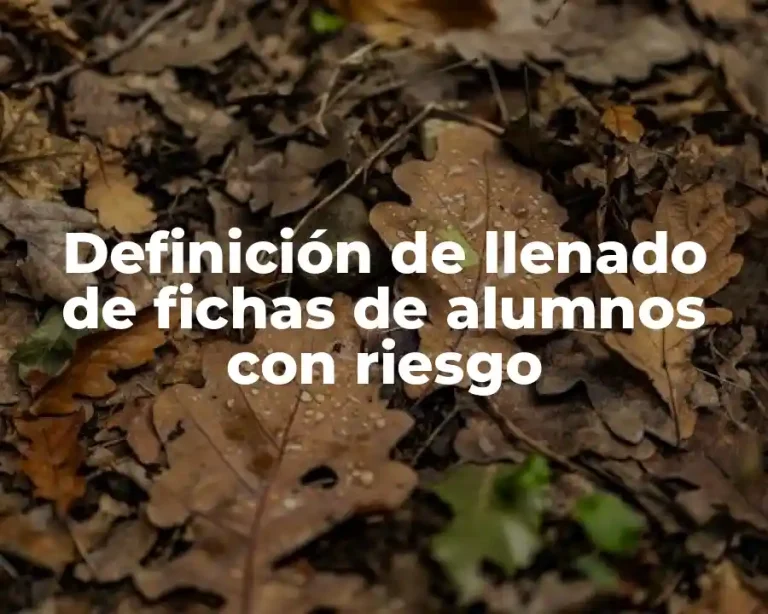 Definición de llenado de fichas de alumnos con riesgo