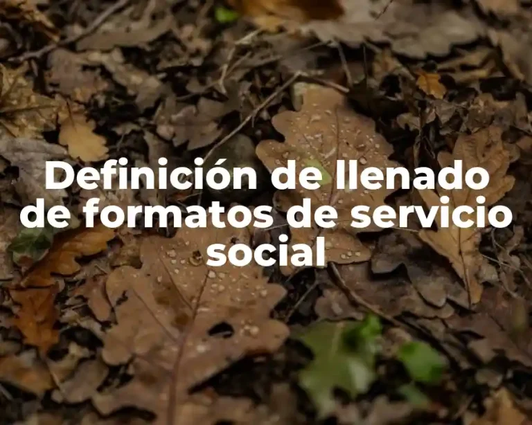 Definición de llenado de formatos de servicio social
