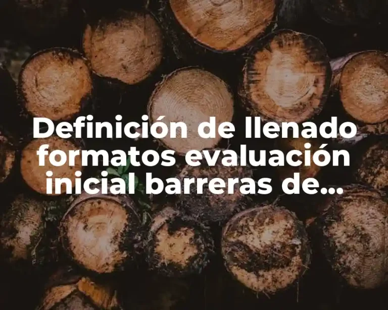 Definición de llenado formatos evaluación inicial barreras de aprendizaje