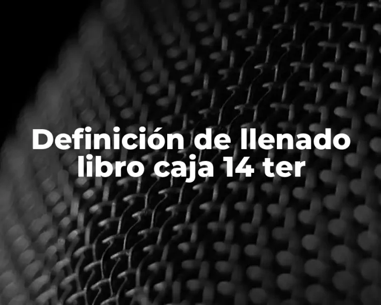 Definición de llenado libro caja 14 ter