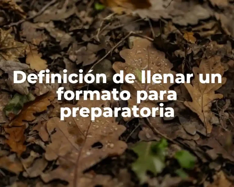 Definición de llenar un formato para preparatoria