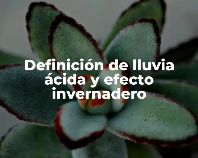 Definición de lluvia ácida y efecto invernadero