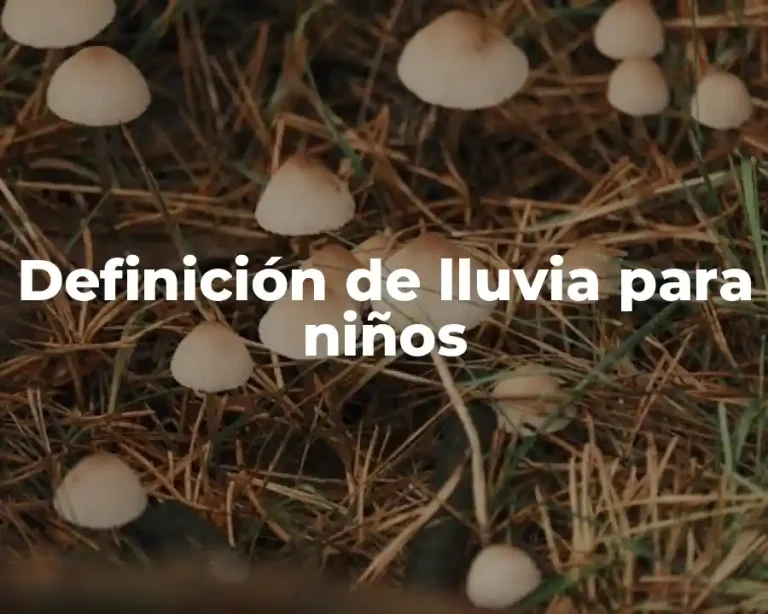 Definición de lluvia para niños