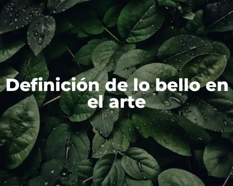 Definición de lo bello en el arte