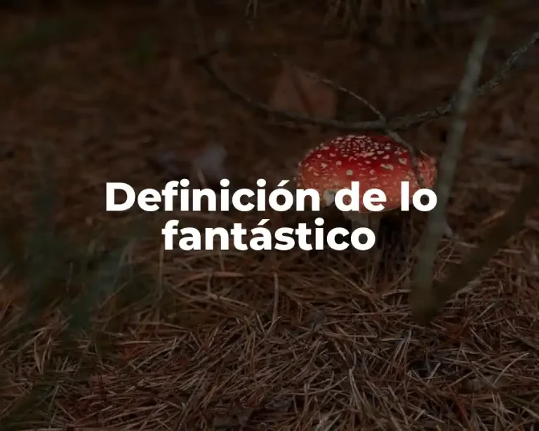 Definición de lo fantástico